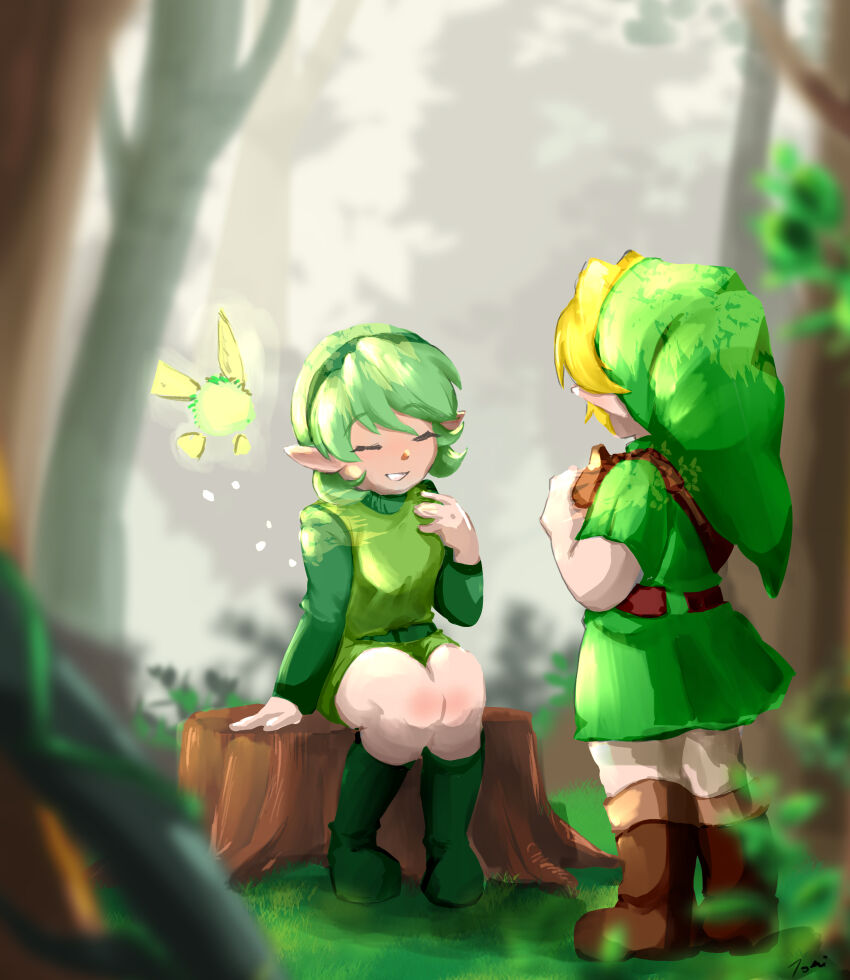 Link (Nintendo) Rule 34 Image