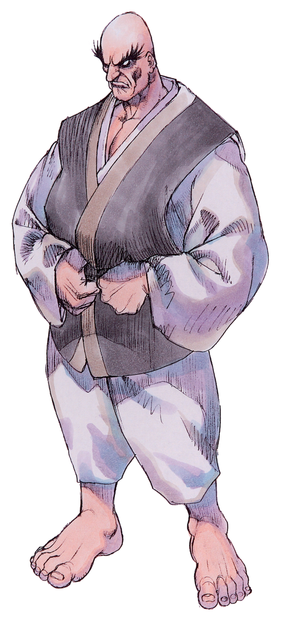 Street Fighter Rule 34 Image