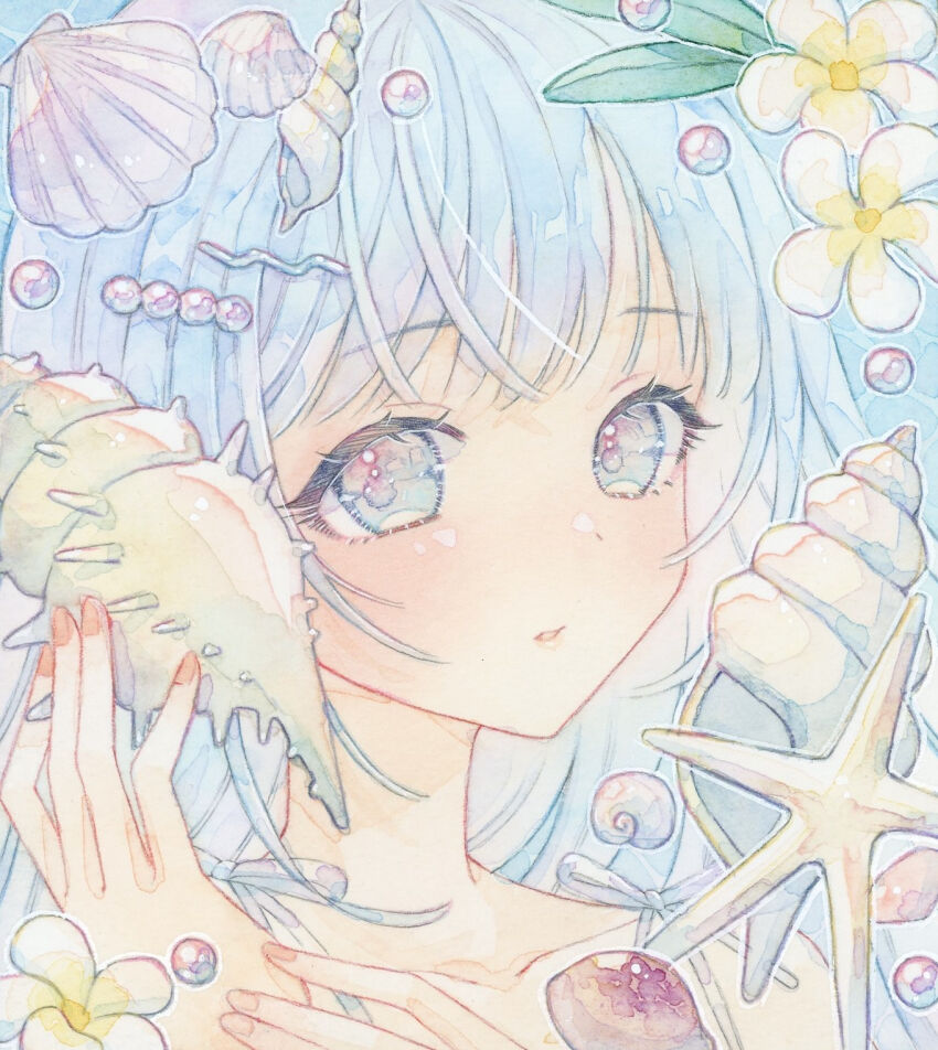 Shell (Original) Rule 34 Image