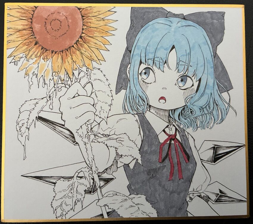 Cirno (Touhou) Rule 34 Image
