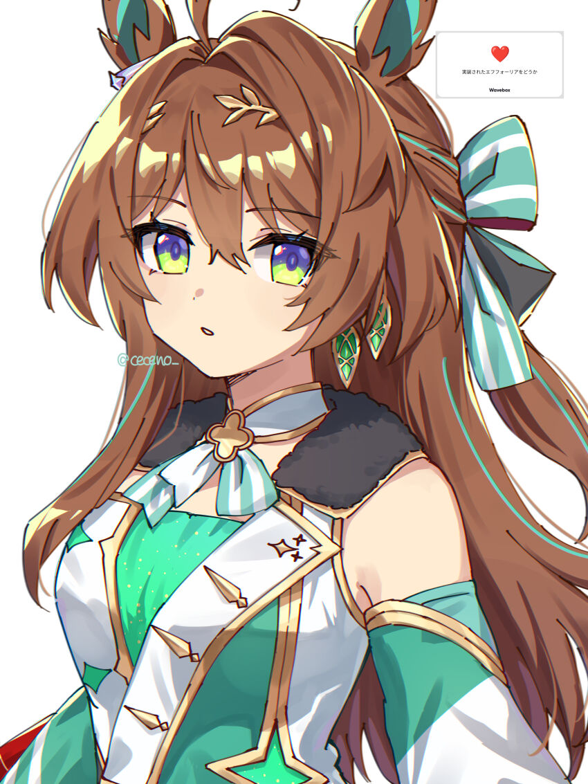 Umamusume Rule 34 Image