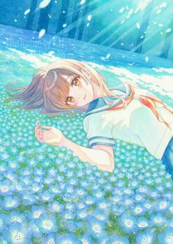 Nemophila (Flower) Rule 34 Image