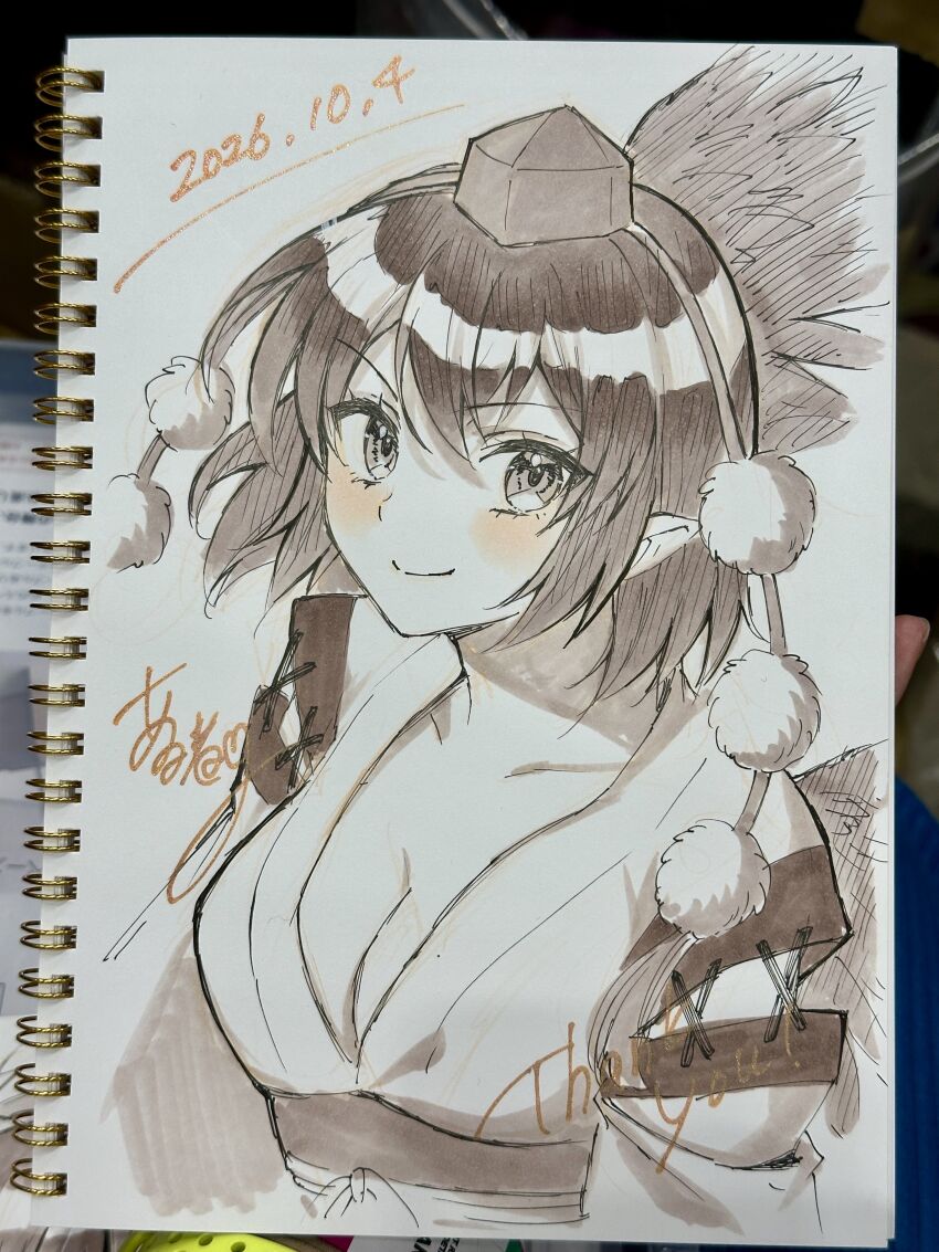 Shameimaru Aya (Touhou) Rule 34 Image