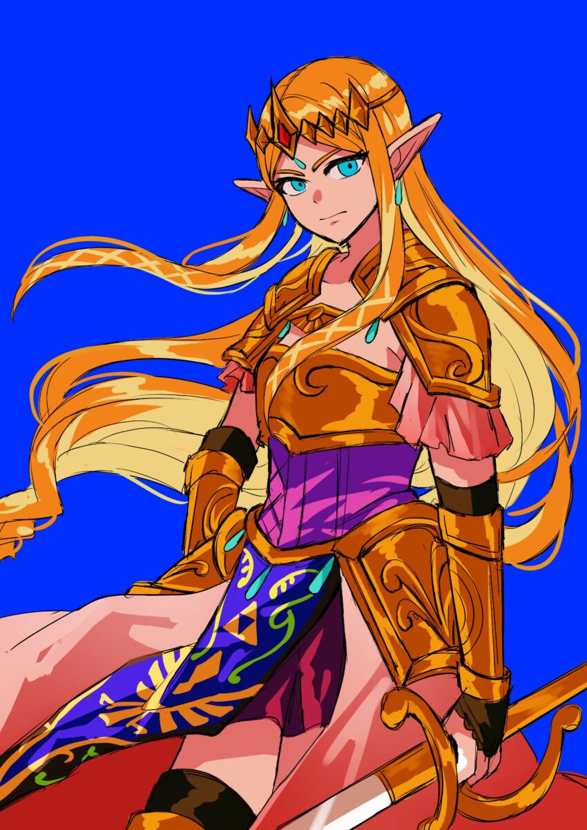Princess Zelda (Hyrule Warriors) Rule 34 Image