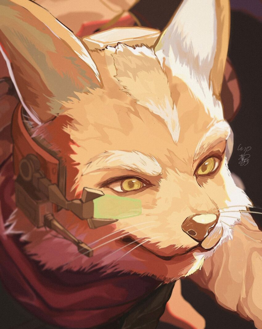 Fox Mccloud (Nintendo) Rule 34 Image