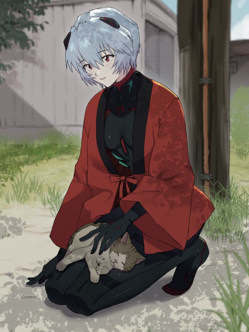 Ayanami Rei (Neon Genesis Evangelion) Rule 34 Image
