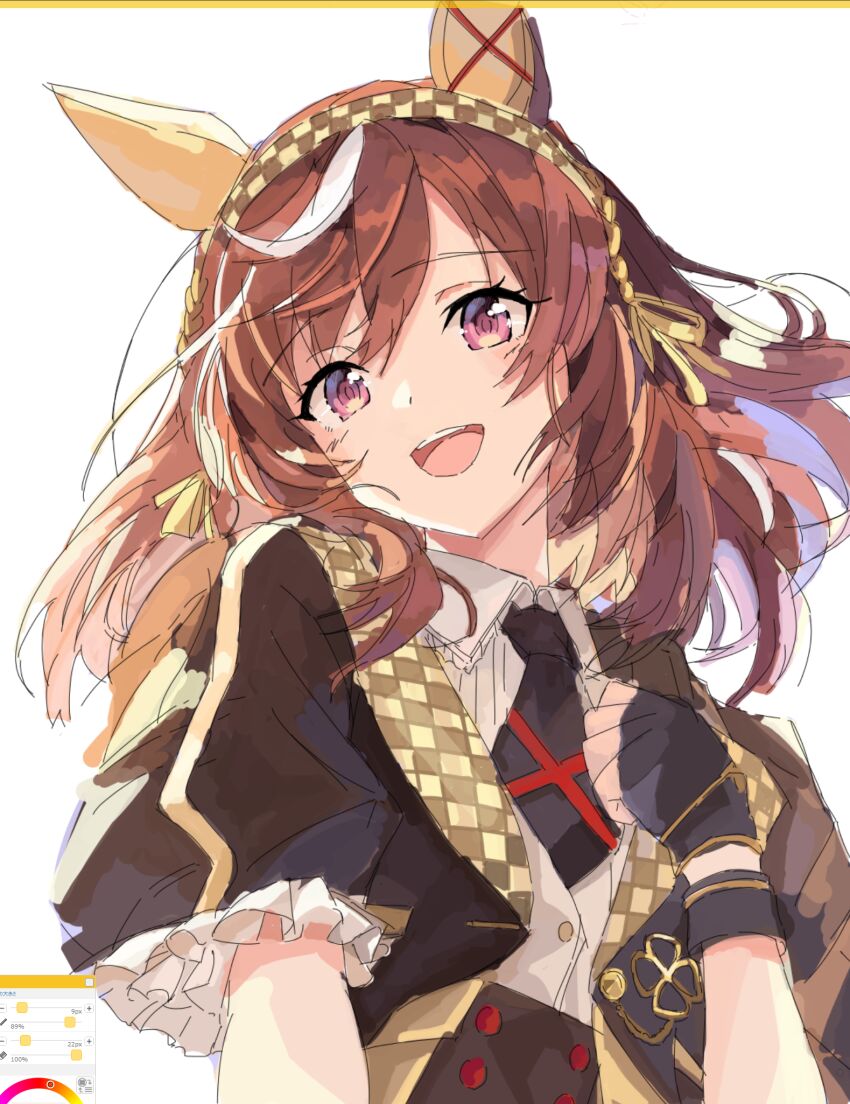 Buena Vista (Umamusume) Rule 34 Image
