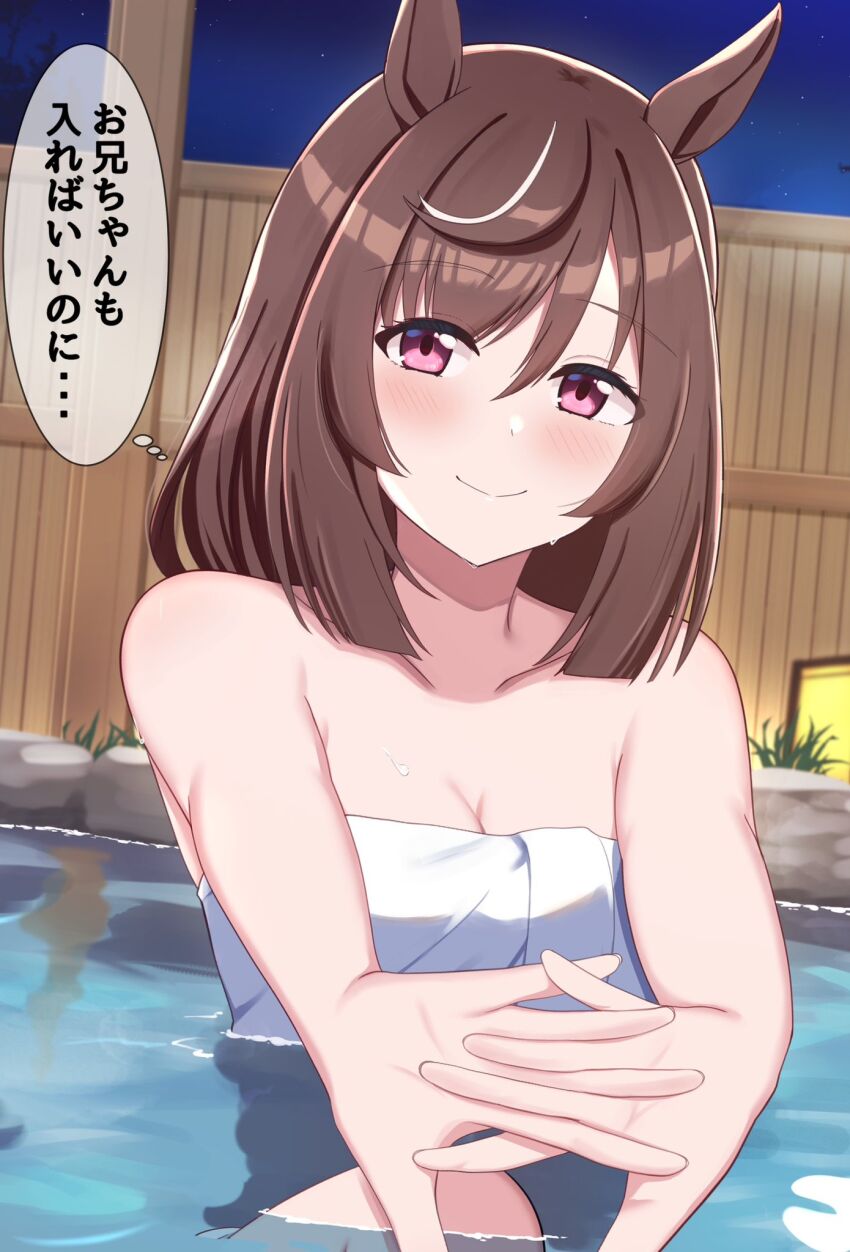 Buena Vista (Umamusume) Rule 34 Image