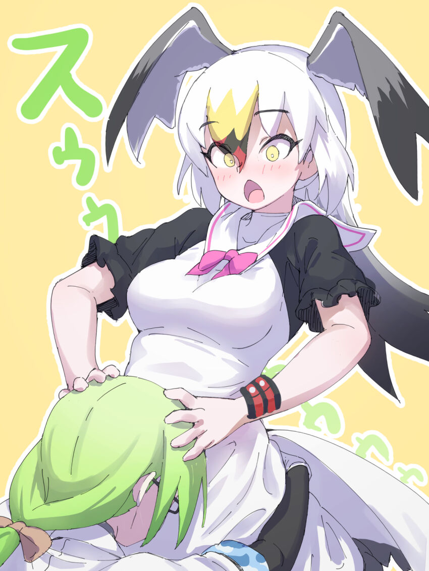 Black-Tailed Gull (Kemono Friends) Rule 34 Image