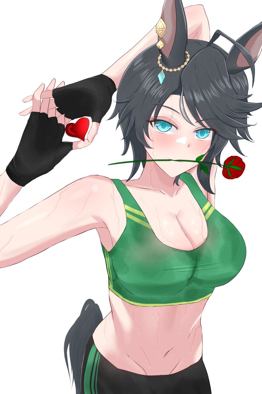 Fuji Kiseki (Umamusume) Rule 34 Image