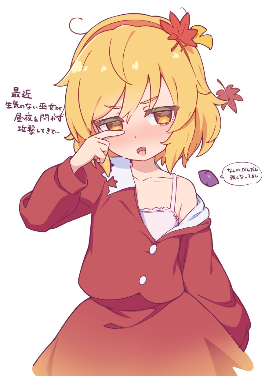 Aki Shizuha (Touhou) Rule 34 Image