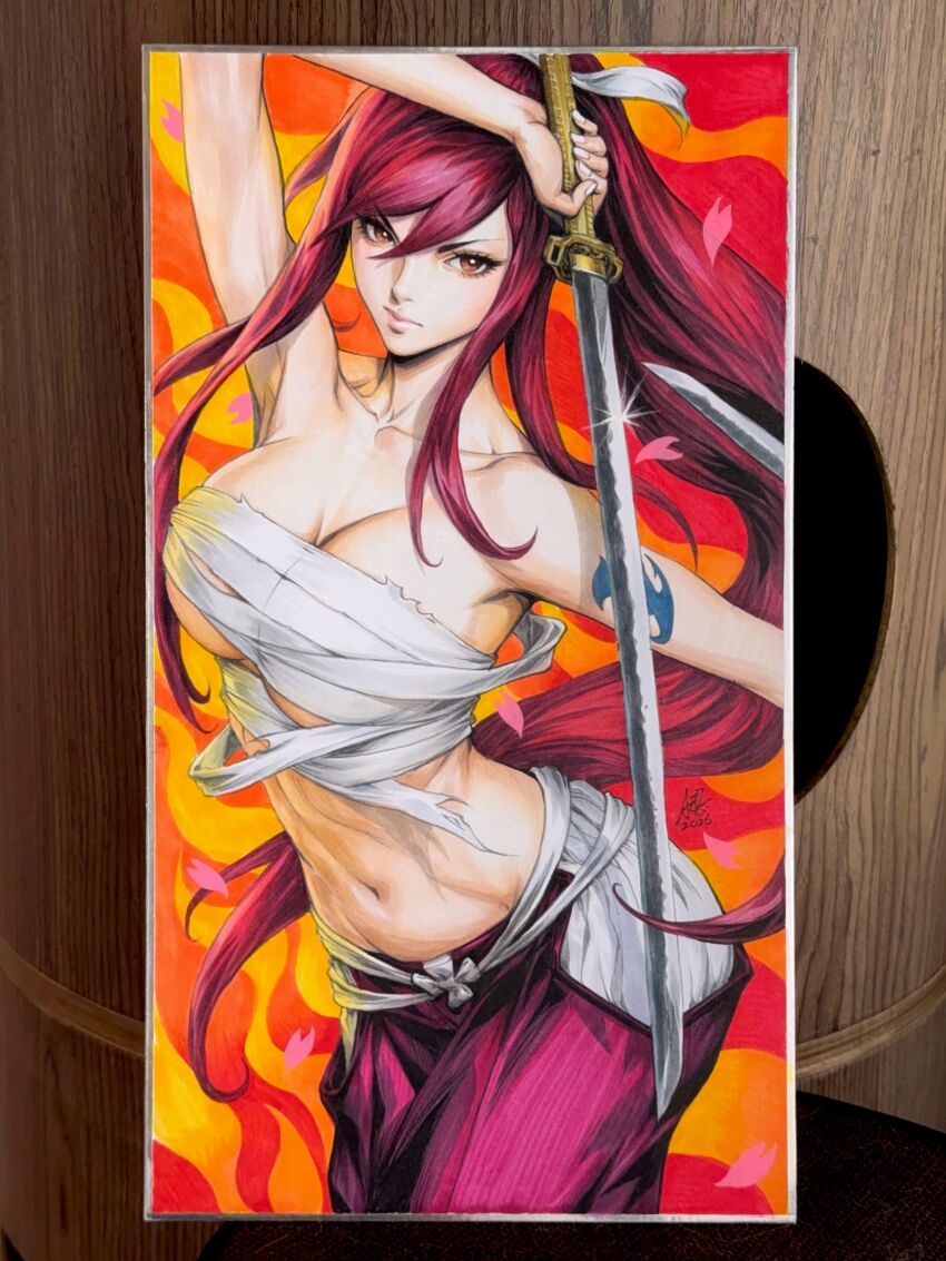 Erza Scarlet (Fairy Tail) Rule 34 Image