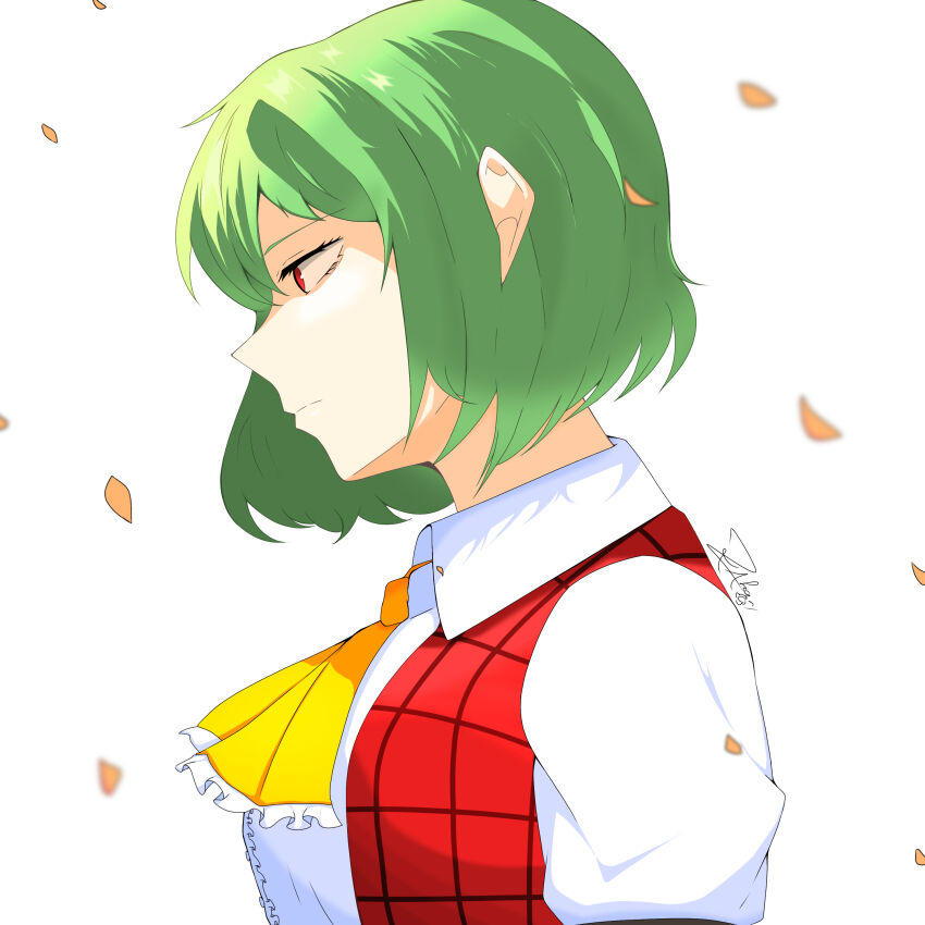 Kazami Yuuka (Touhou) Rule 34 Image