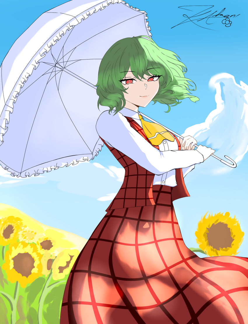 Kazami Yuuka (Touhou) Rule 34 Image