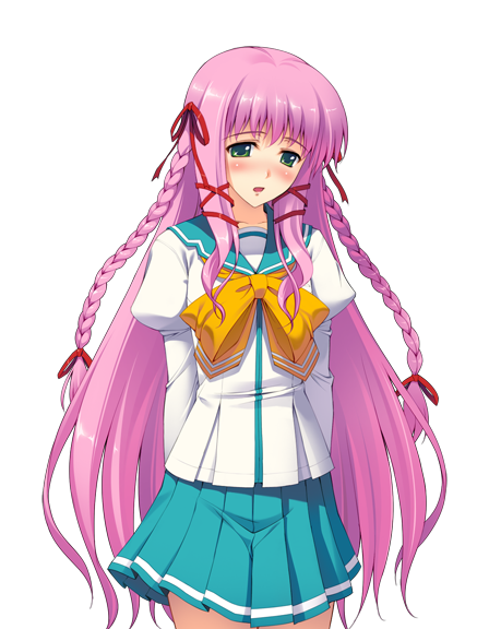 Fuuki Iinchou Seira Rule 34 Image