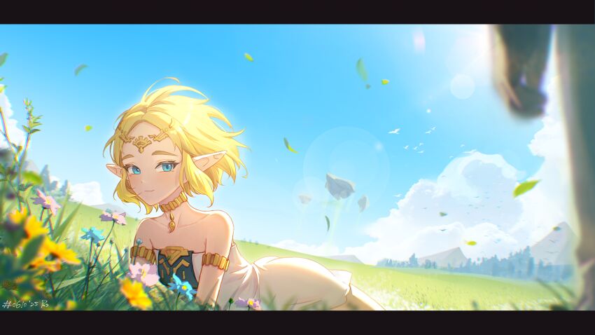 Link (Nintendo) Rule 34 Image