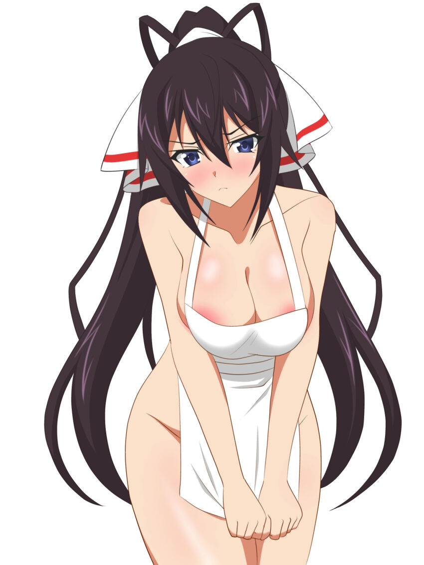 Shinonono Houki (Infinite Stratos) Rule 34 Image