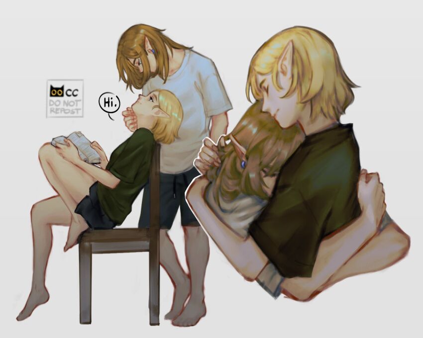 Link (Nintendo) Rule 34 Image