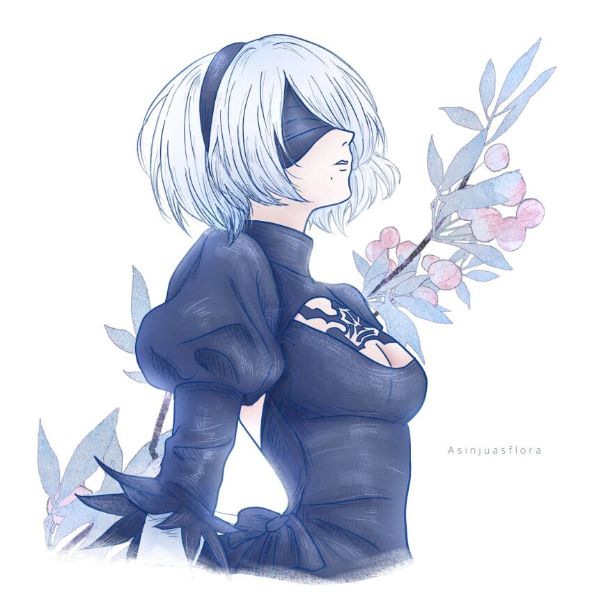 2b (Nier:Automata) Rule 34 Image