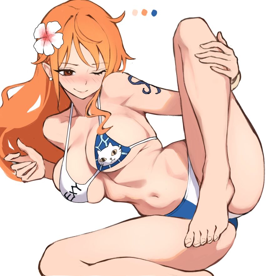 Nami (One Piece) Rule 34 Image