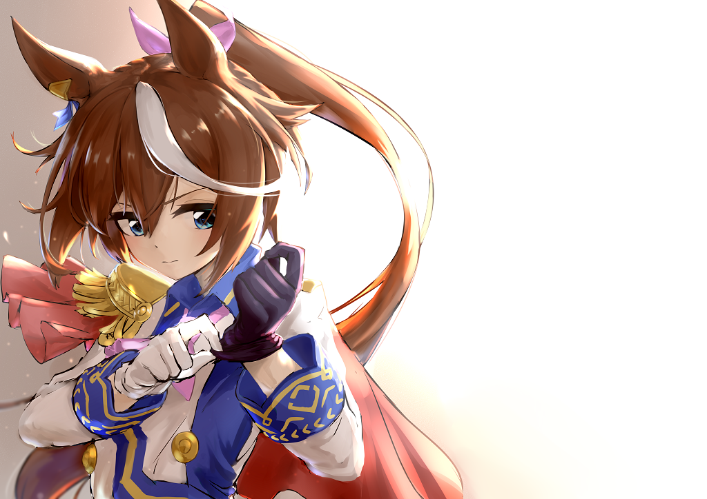 Tokai Teio (Umamusume) Rule 34 Image