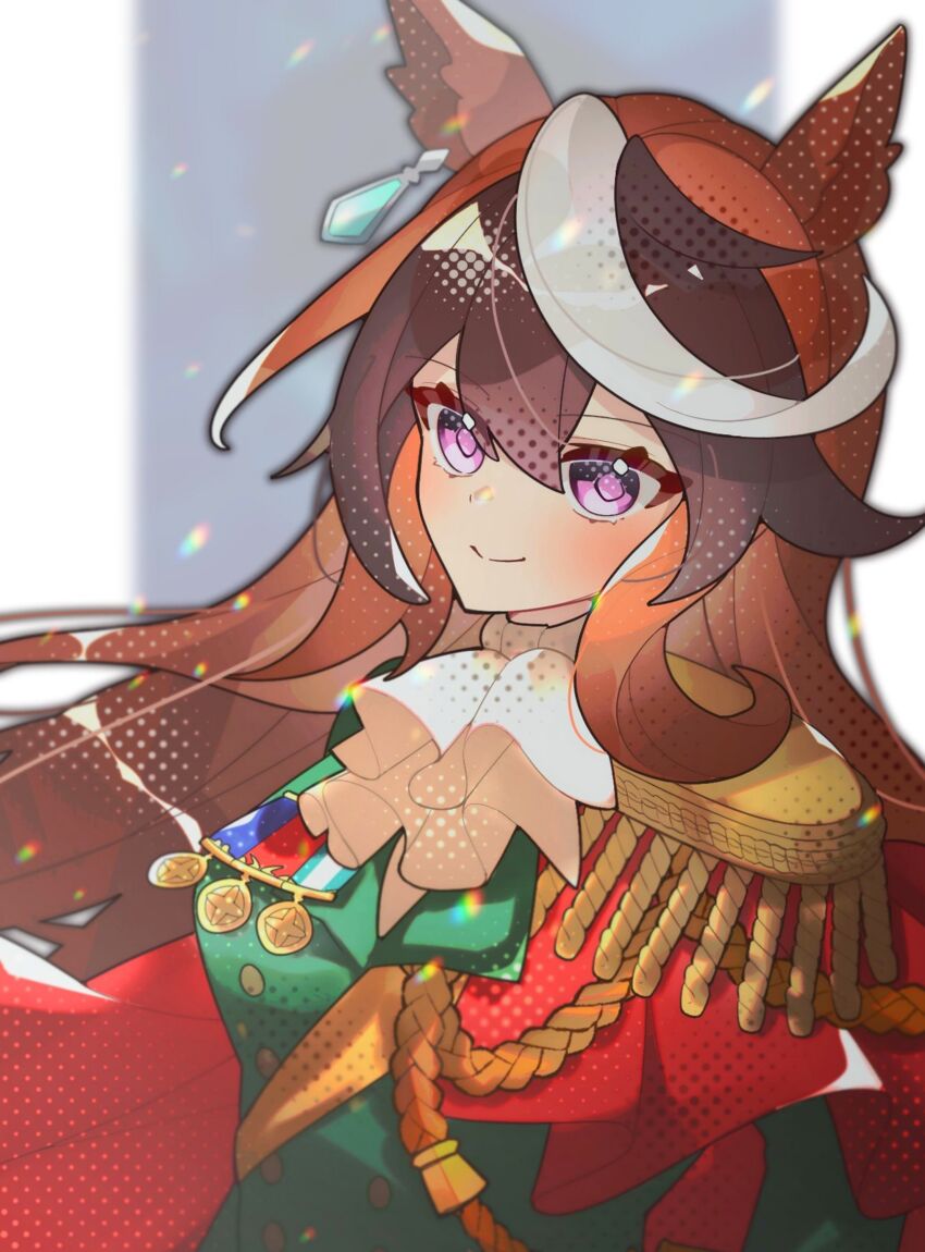 Symboli Rudolf (Umamusume) Rule 34 Image