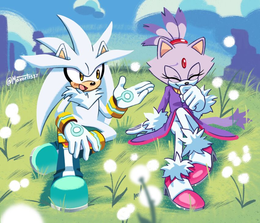 Blaze The Cat (Sonic (Series)) Rule 34 Image