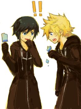 Black Coat (Kingdom Hearts) Rule 34 Image