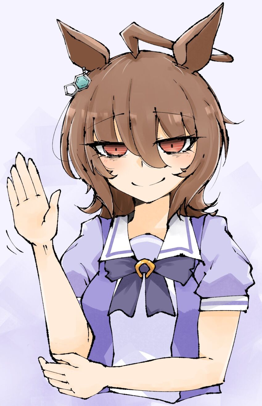 Agnes Tachyon (Umamusume) Rule 34 Image