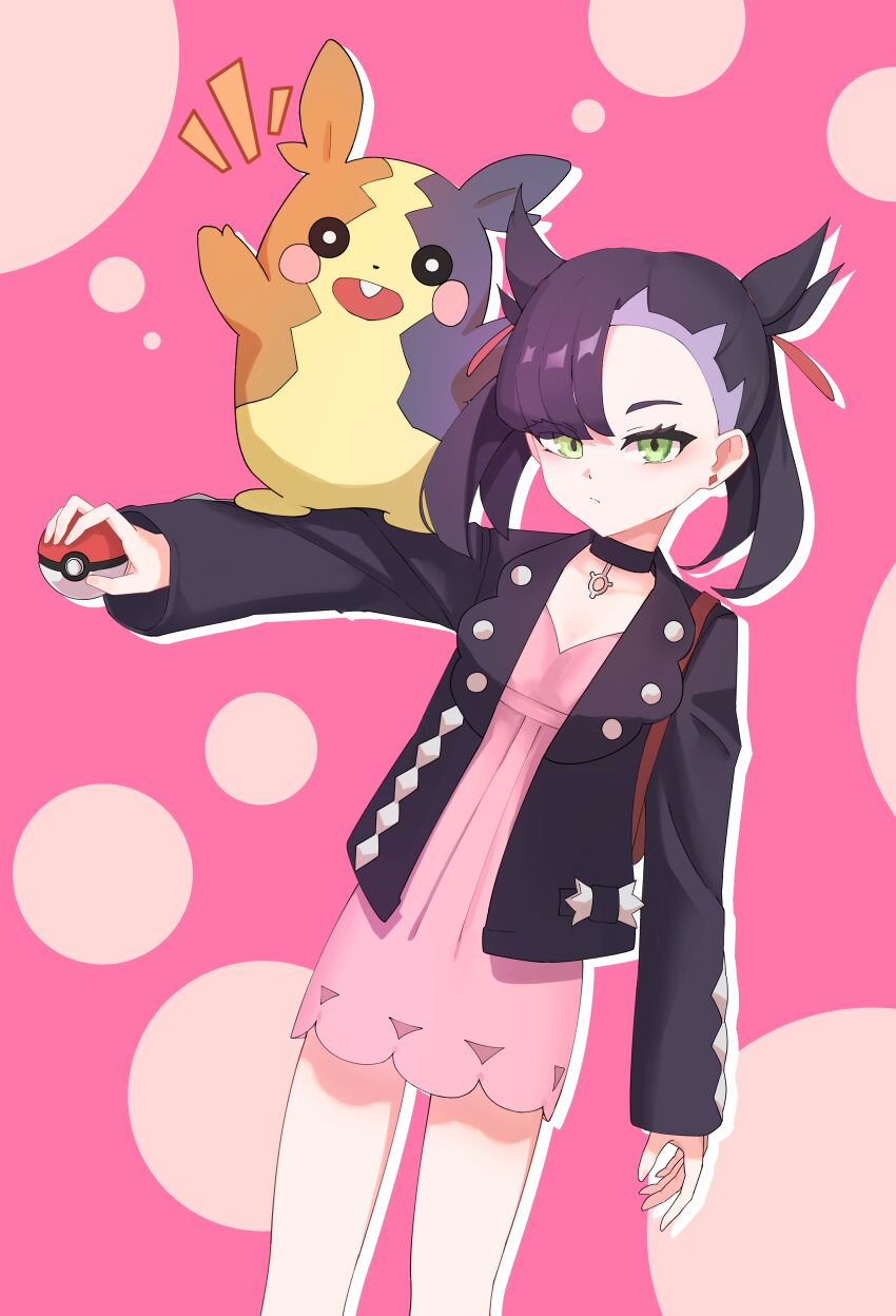 Gen 8 Pokemon (Nintendo) Rule 34 Image