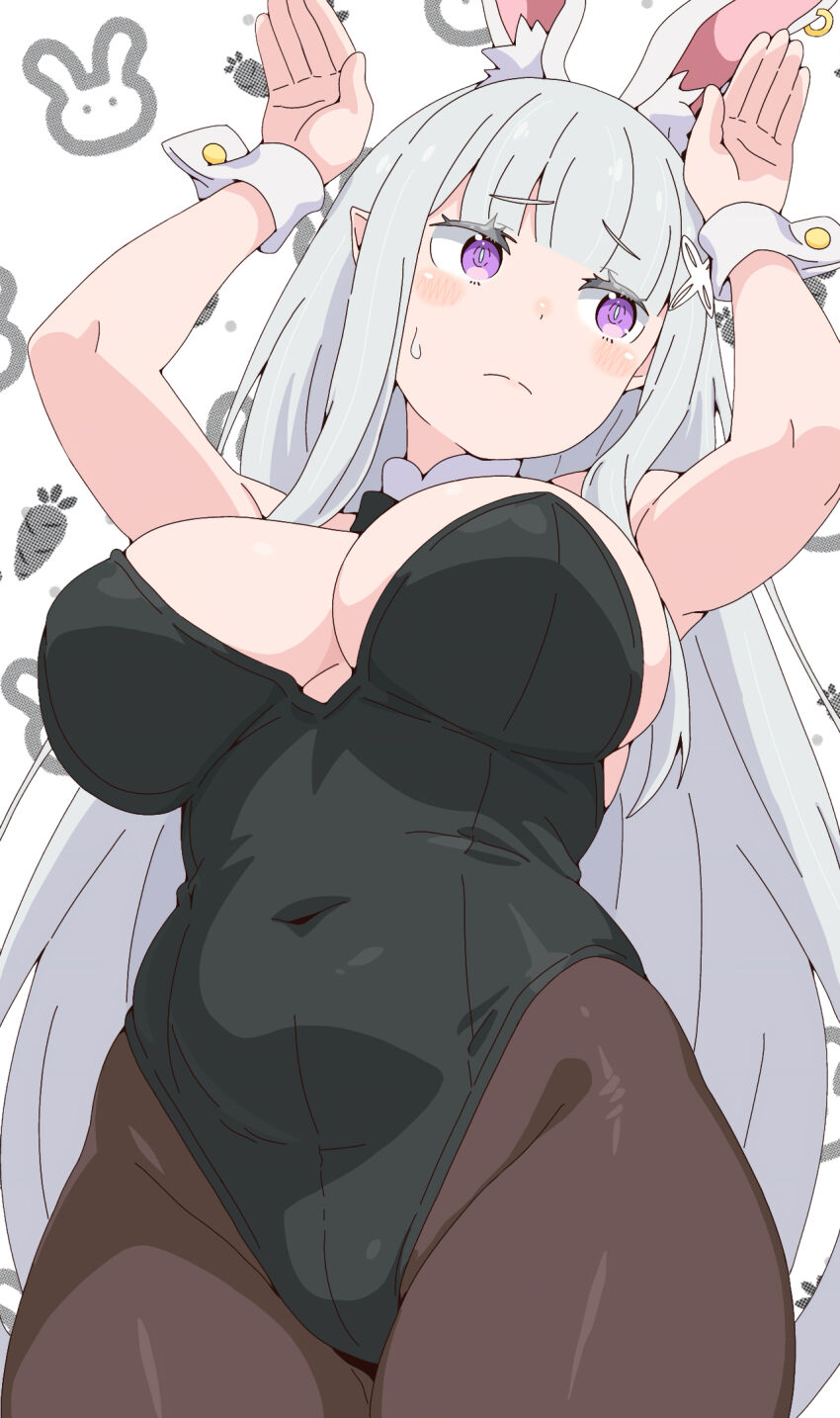 Emilia (Re:Zero) Rule 34 Image