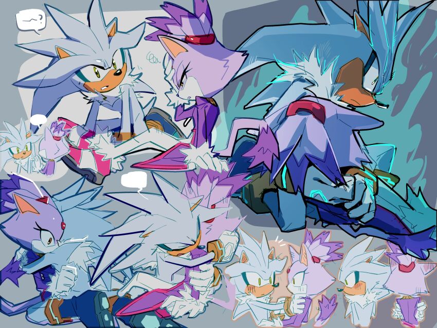 Blaze The Cat (Sonic (Series)) Rule 34 Image