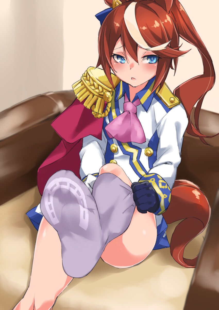 Tokai Teio (Umamusume) Rule 34 Image