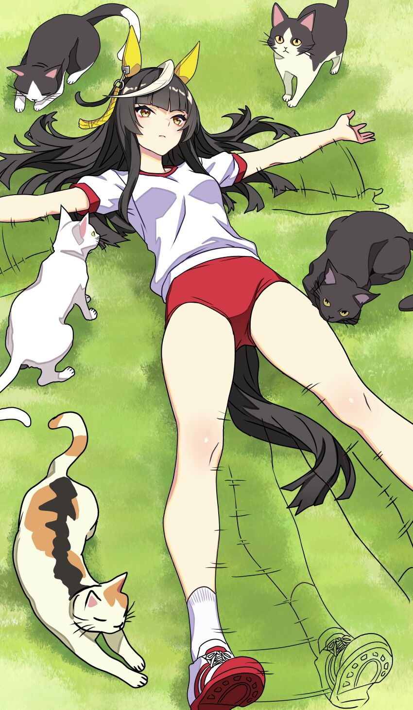 Calstone Light O (Umamusume) Rule 34 Image