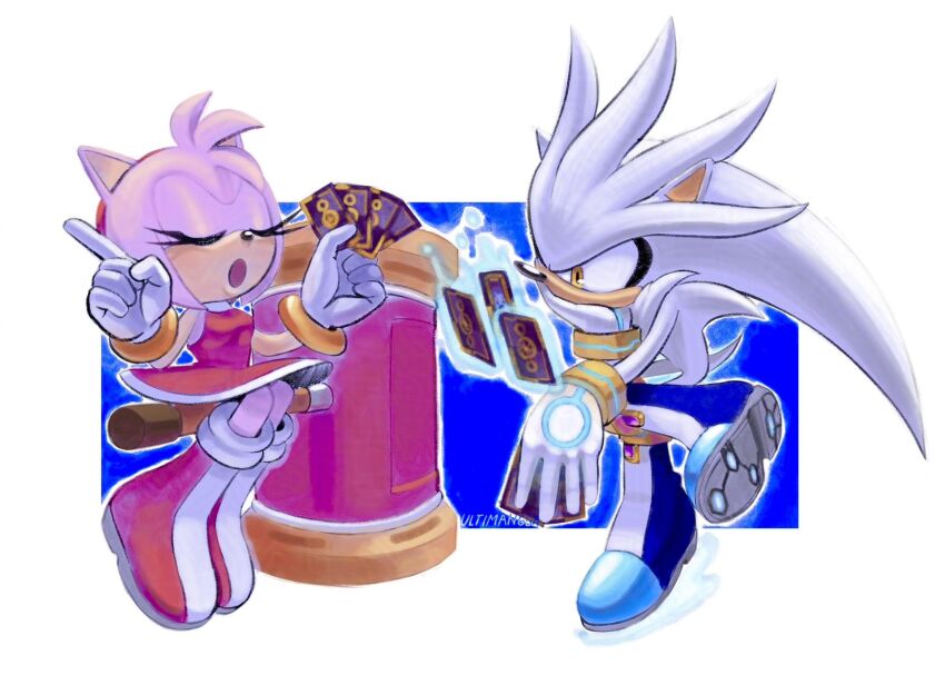 Amy Rose (Sonic (Series)) Rule 34 Image