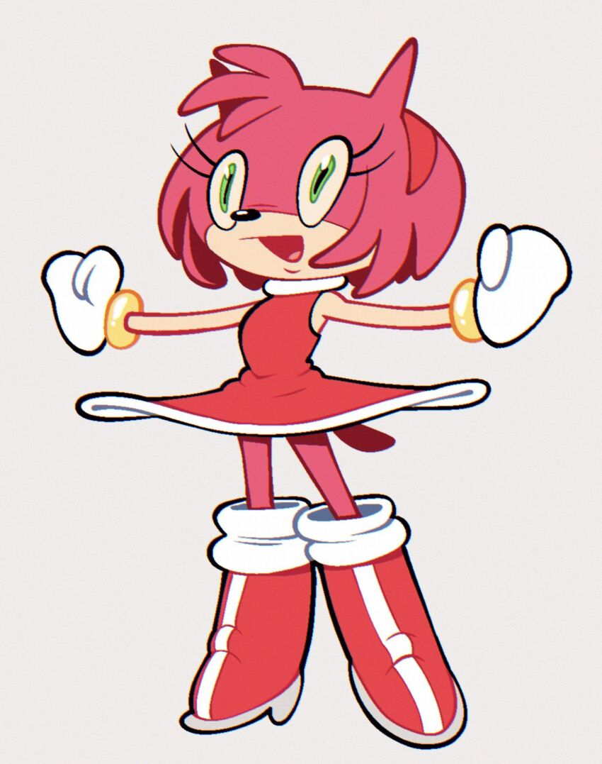 Amy Rose (Sonic (Series)) Rule 34 Image