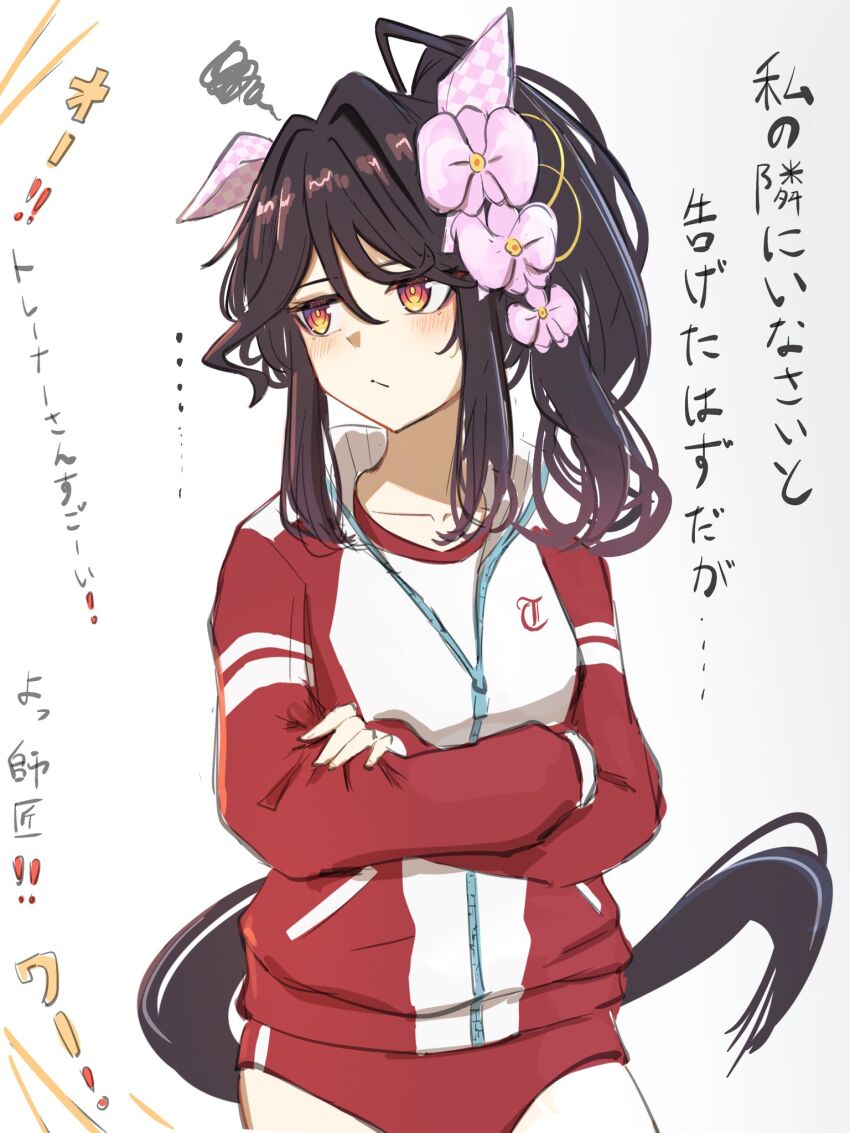 Phalaenopsis (Umamusume) Rule 34 Image