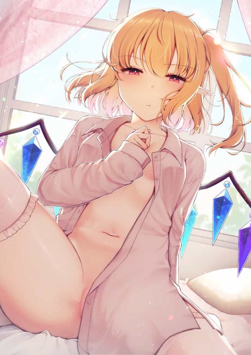 Flandre Scarlet (Touhou) Rule 34 Image