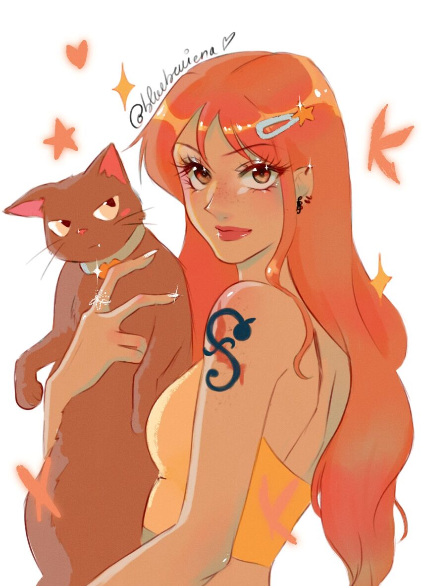 Nami (One Piece) Rule 34 Image