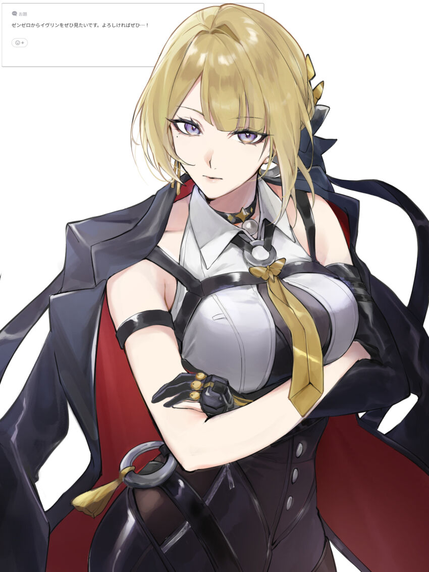 Evelyn Chevalier (Zenless Zone Zero) Rule 34 Image
