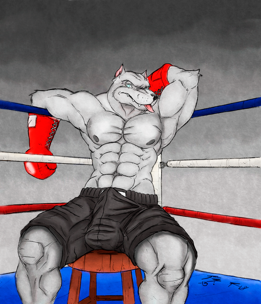 Abs Rule 34 Image