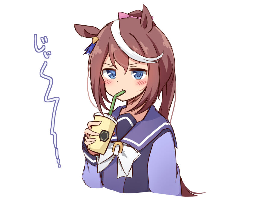 Tokai Teio (Umamusume) Rule 34 Image