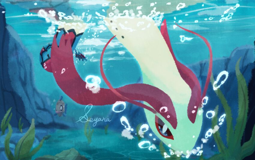 Feebas (Nintendo) Rule 34 Image