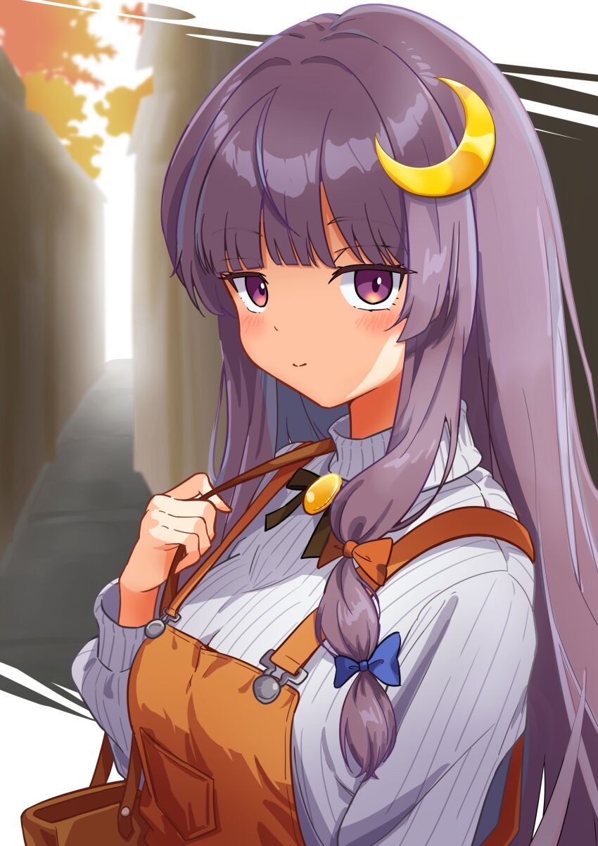 Patchouli Knowledge (Touhou) Rule 34 Image