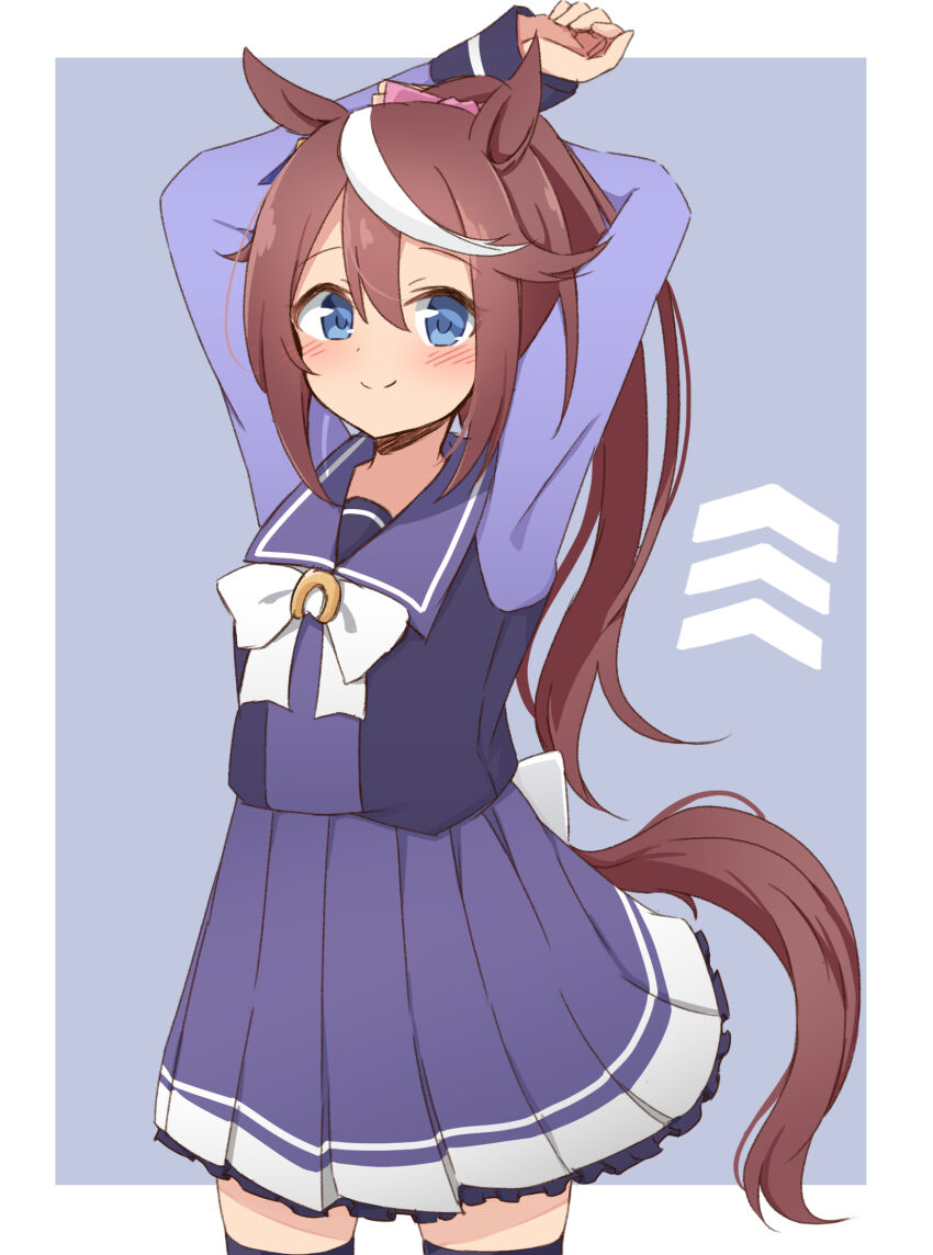 Tokai Teio (Umamusume) Rule 34 Image