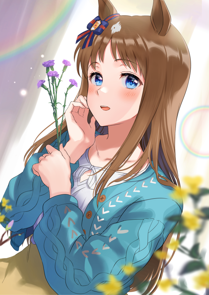 Grass Wonder (Umamusume) Rule 34 Image