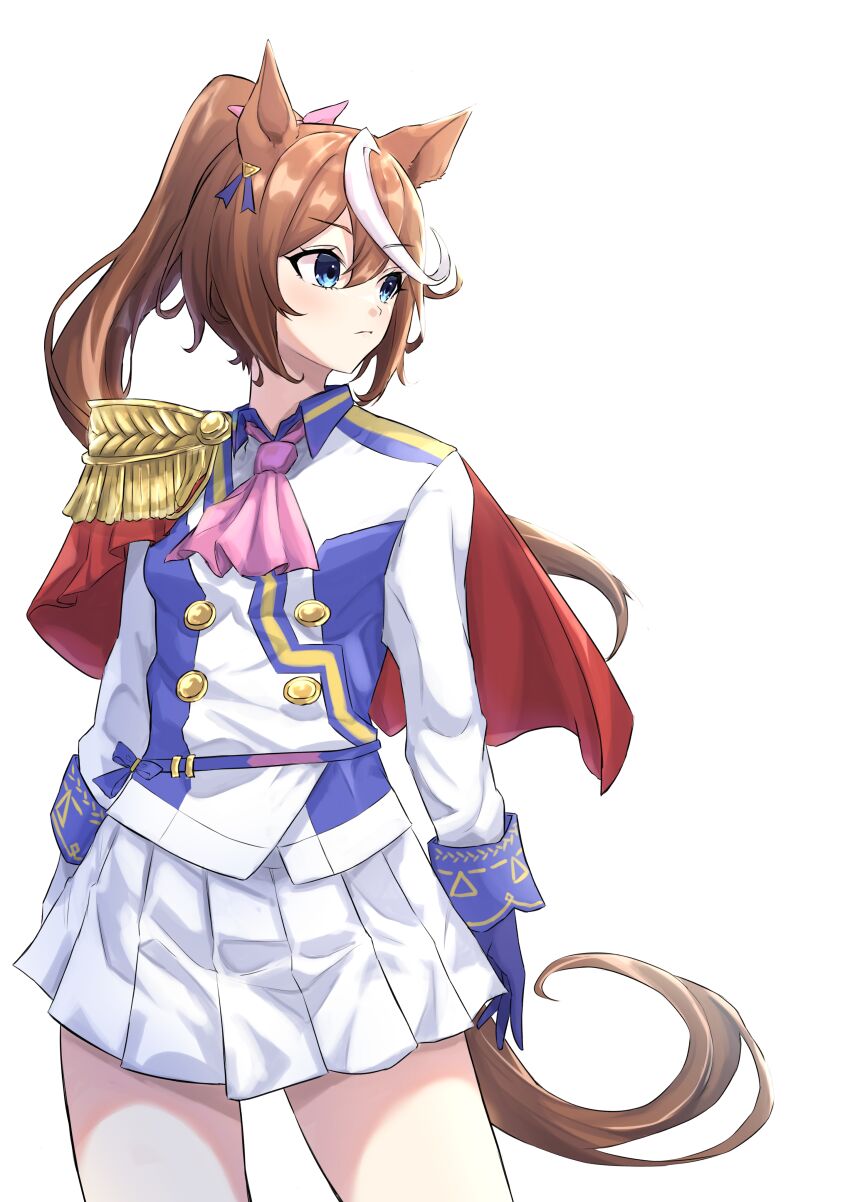 Tokai Teio (Umamusume) Rule 34 Image