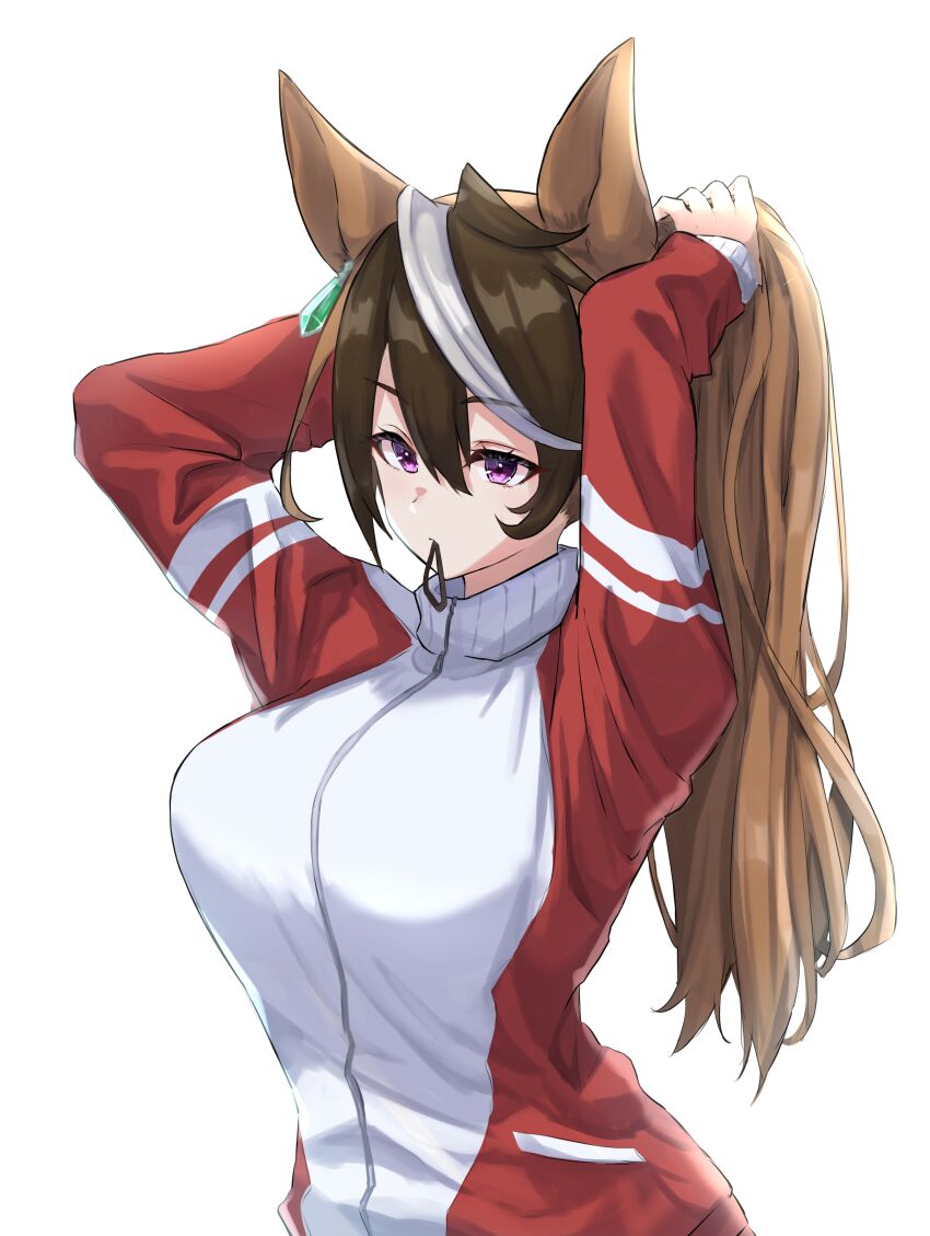 Symboli Rudolf (Umamusume) Rule 34 Image