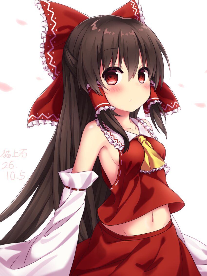 Hakurei Reimu (Touhou) Rule 34 Image