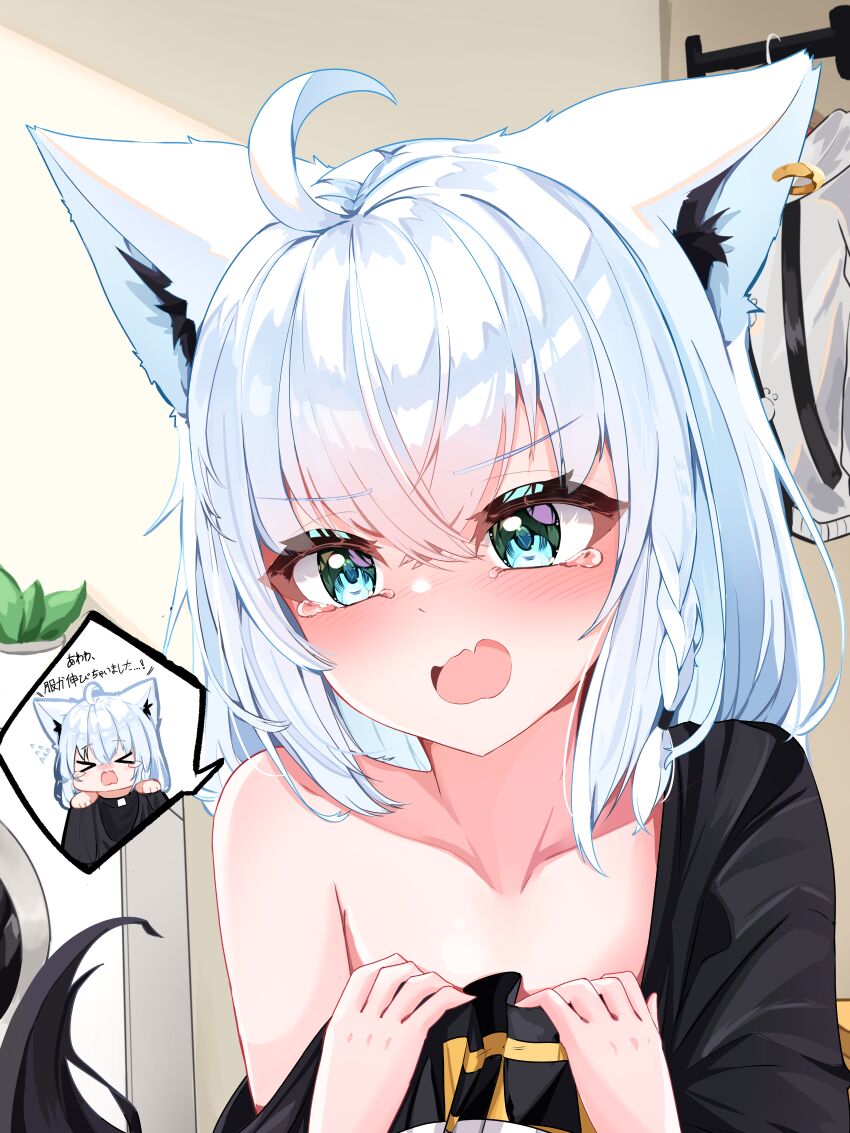 Shirakami Fubuki (Hololive) Rule 34 Image